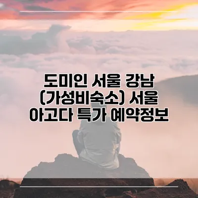 도미인 서울 강남 (가성비숙소) 서울 아고다 특가 예약정보