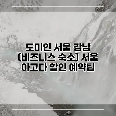 도미인 서울 강남 (비즈니스 숙소) 서울 아고다 할인 예약팁