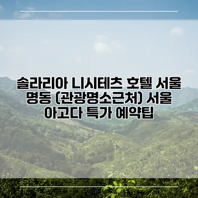 솔라리아 니시테츠 호텔 서울 명동 (관광명소근처) 서울 아고다 특가 예약팁