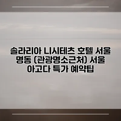 솔라리아 니시테츠 호텔 서울 명동 (관광명소근처) 서울 아고다 특가 예약팁