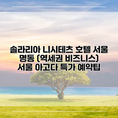 솔라리아 니시테츠 호텔 서울 명동 (역세권 비즈니스) 서울 아고다 특가 예약팁