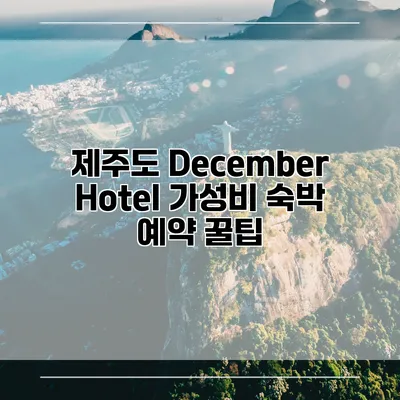 제주도 December Hotel 가성비 숙박 예약 꿀팁