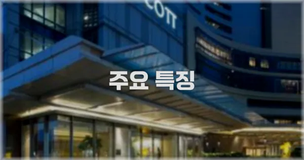 ✨ 주요 특징