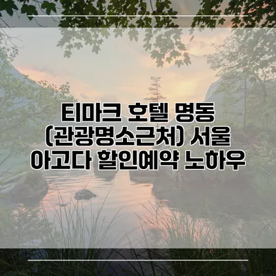 티마크 호텔 명동 (관광명소근처) 서울 아고다 할인예약 노하우