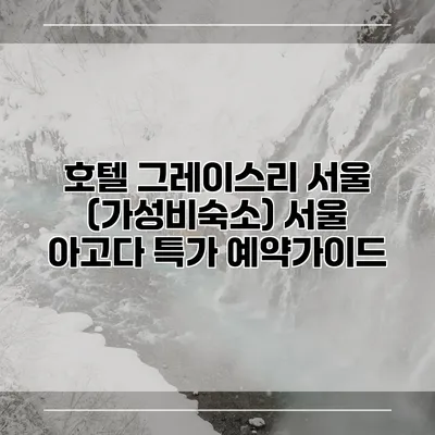 호텔 그레이스리 서울 (가성비숙소) 서울 아고다 특가 예약가이드
