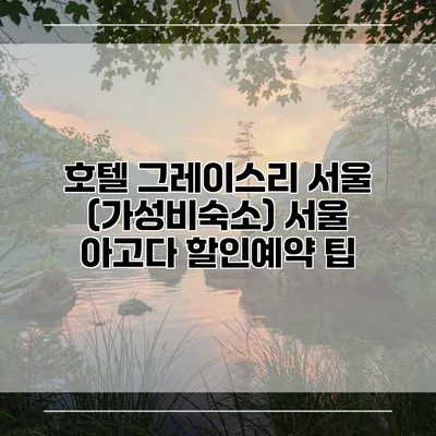 호텔 그레이스리 서울 (가성비숙소) 서울 아고다 할인예약 팁