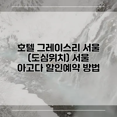 호텔 그레이스리 서울 (도심위치) 서울 아고다 할인예약 방법