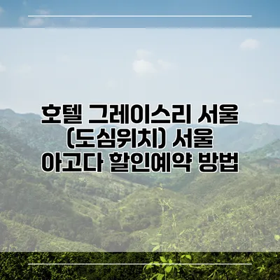 호텔 그레이스리 서울 (도심위치) 서울 아고다 할인예약 방법