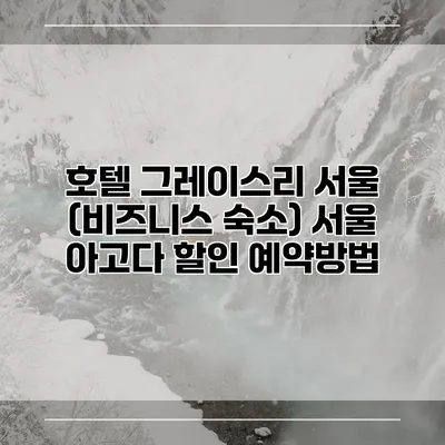 호텔 그레이스리 서울 (비즈니스 숙소) 서울 아고다 할인 예약방법