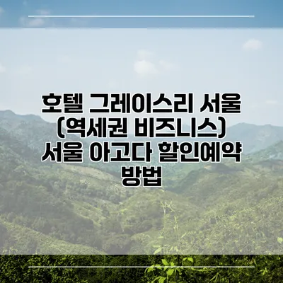 호텔 그레이스리 서울 (역세권 비즈니스) 서울 아고다 할인예약 방법