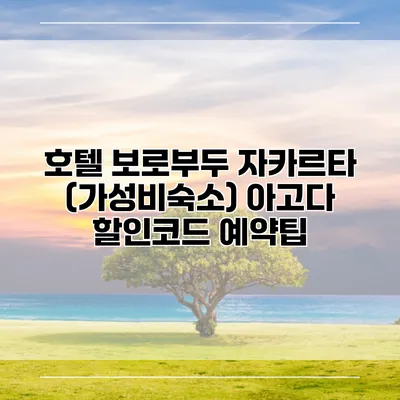 호텔 보로부두 자카르타 (가성비숙소) 아고다 할인코드 예약팁