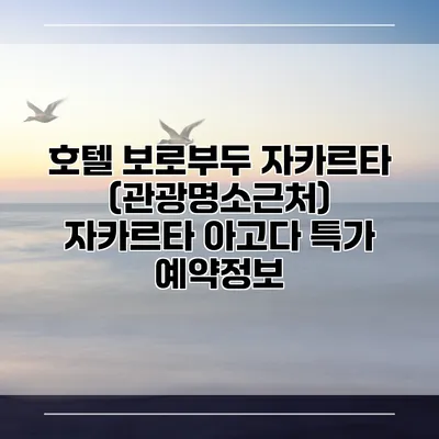 호텔 보로부두 자카르타 (관광명소근처) 자카르타 아고다 특가 예약정보