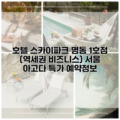 호텔 스카이파크 명동 1호점 (역세권 비즈니스) 서울 아고다 특가 예약정보