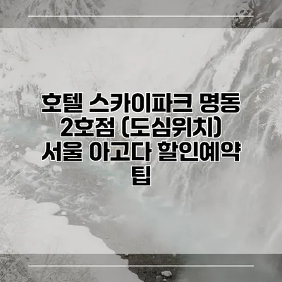 호텔 스카이파크 명동 2호점 (도심위치) 서울 아고다 할인예약 팁