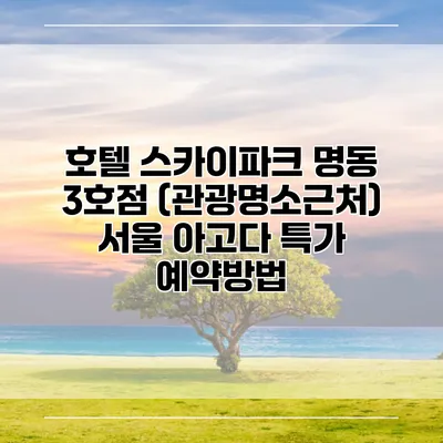 호텔 스카이파크 명동 3호점 (관광명소근처) 서울 아고다 특가 예약방법