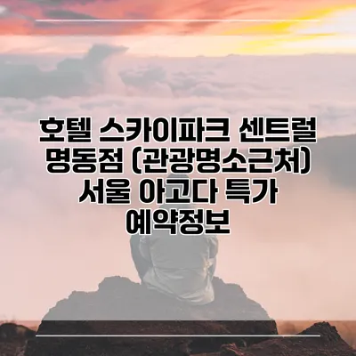 호텔 스카이파크 센트럴 명동점 (관광명소근처) 서울 아고다 특가 예약정보